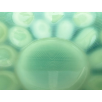 A.D. Copier Gutta schaal